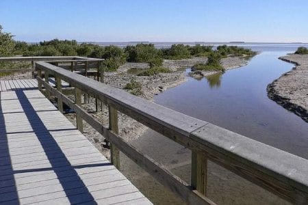 everglades-snake-bight-trail