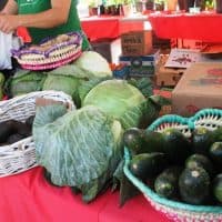 Cucumbers, Lettuce stand