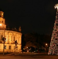coral-gables-tree-lighting-500