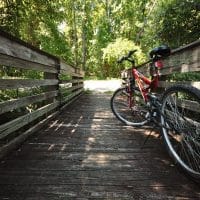 photo_gallery_fullsize_hawthorne3