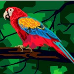 parrot