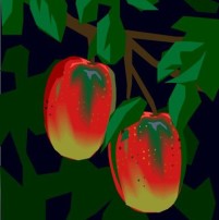 mangoes.jpg