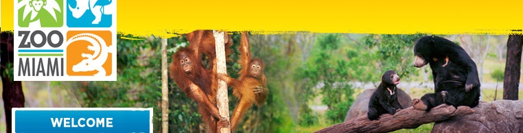 Miami metro zoo coupons