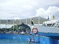 120px-Miamiseaquariumflipper
