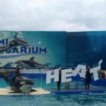Heat fans discount at Seaquarium