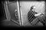 adopt a pet Rosenberg