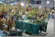 Tamiami International Orchid Festival