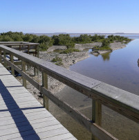 everglades-snake-bight-trail