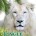 Jungle Island coupon 25% off