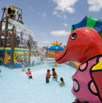 Grapeland Water Park opens