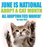 Free pet adoptions in June for cats, some dogs