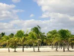 Crandon_Park_Modified