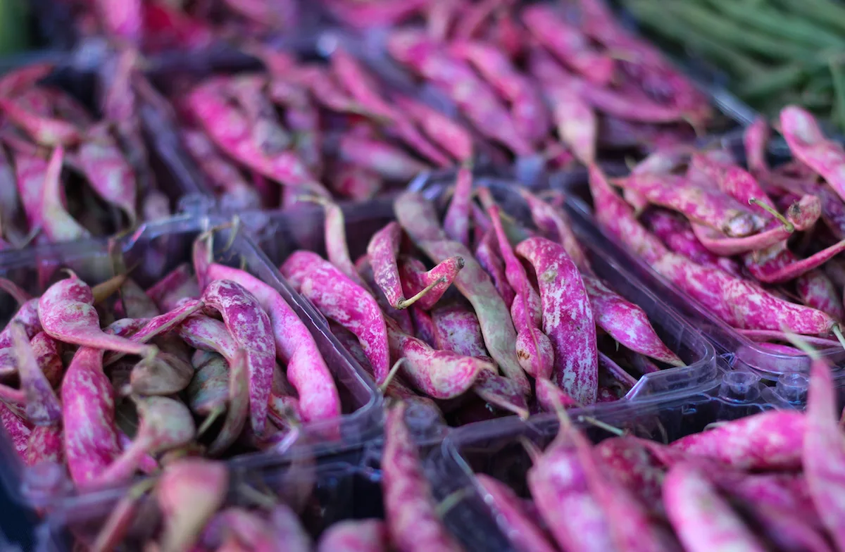 Palm Beach County Greenmarkets long beans / credit Savor Tonight