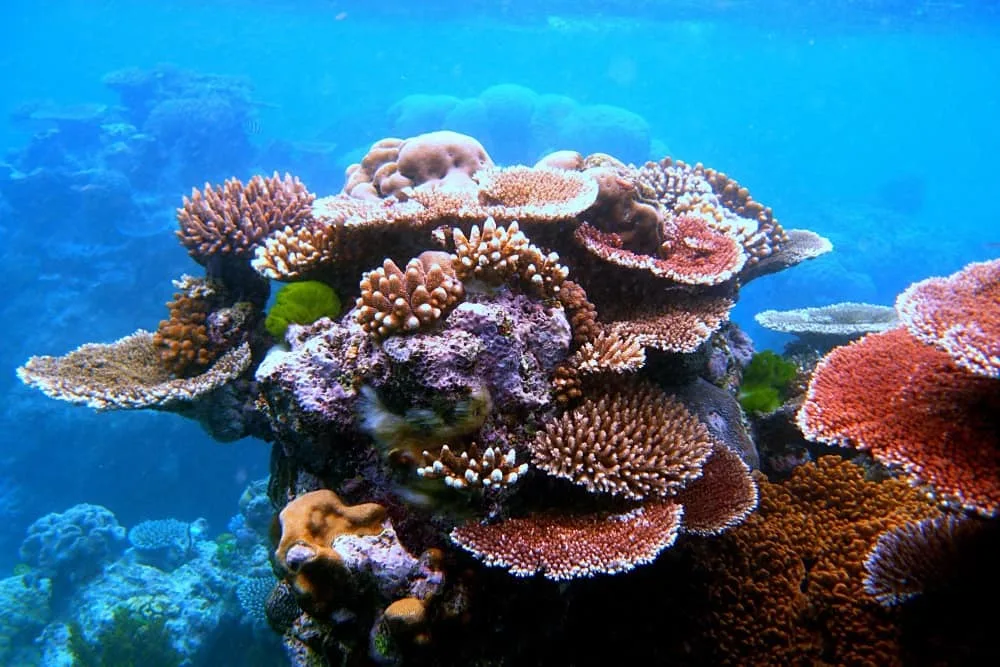 Florida Keys
