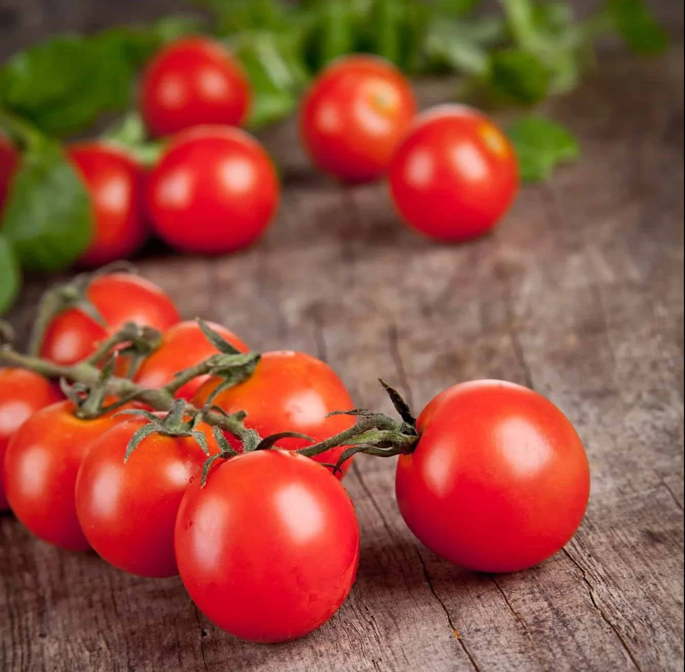 U-pick farms: Where to find them in Miami & South Florida