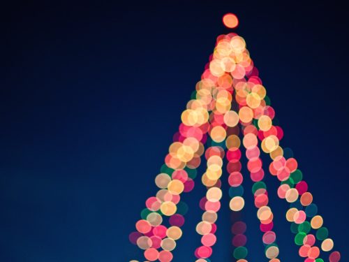 holiday tree lightings _ by tim-mossholder