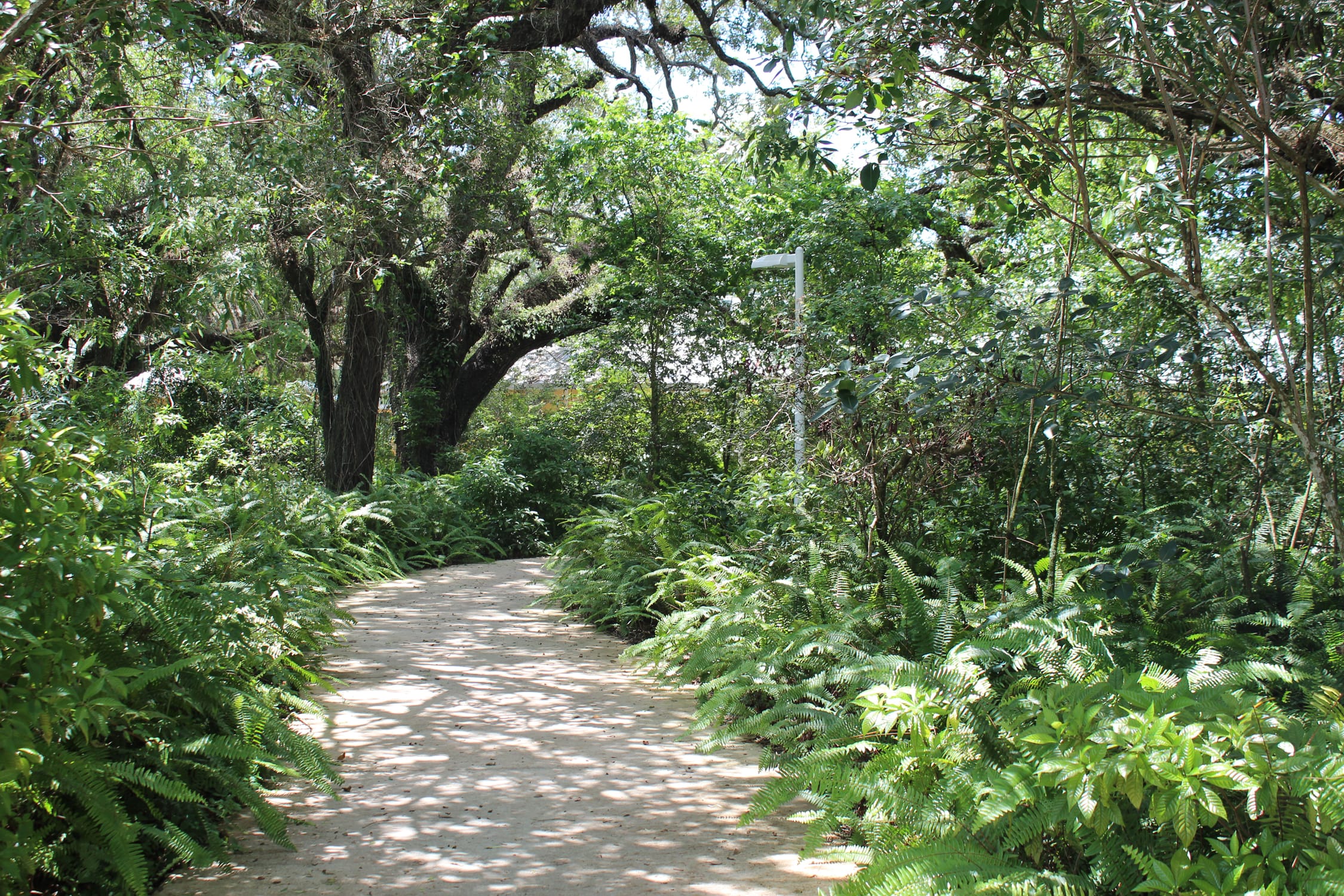 Delightful night nature walks in Broward, $5