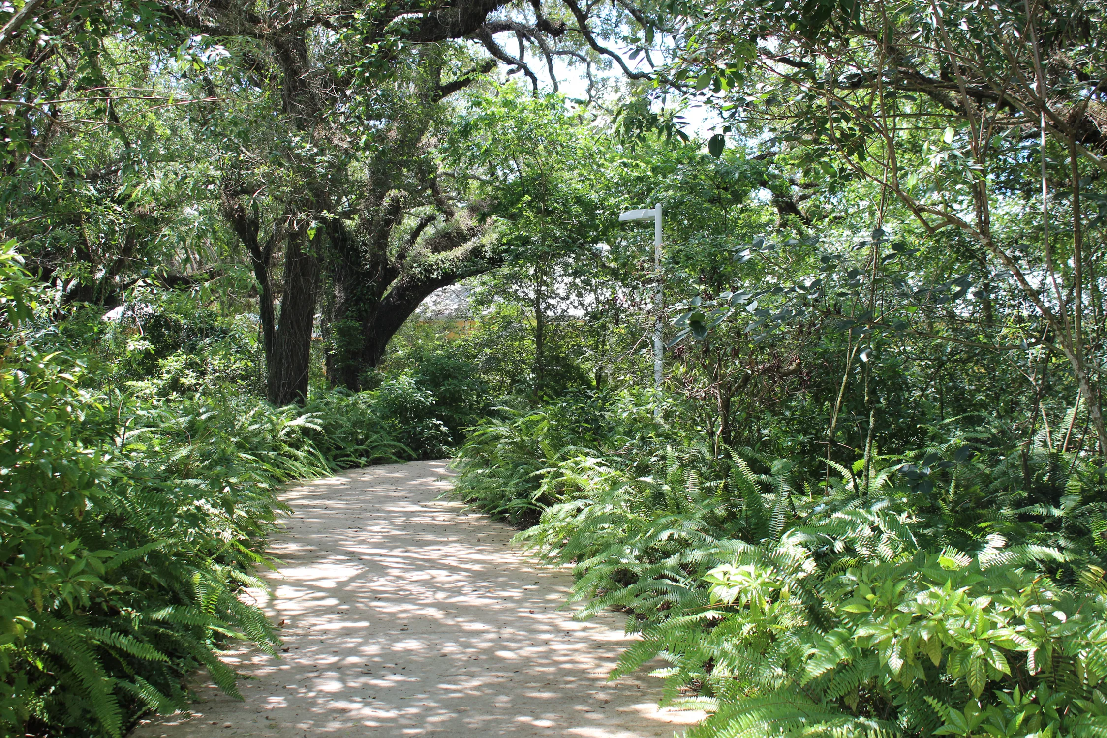 Delightful night nature walks in Broward, $5