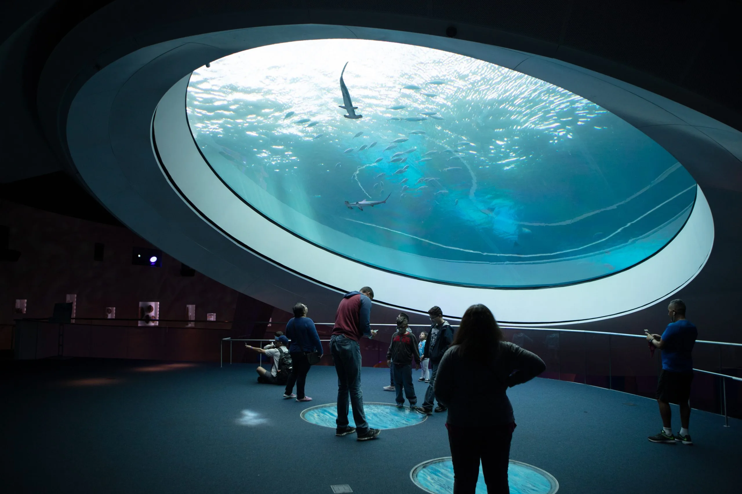 Free Blue Star Museum entry for military families through Labor Day