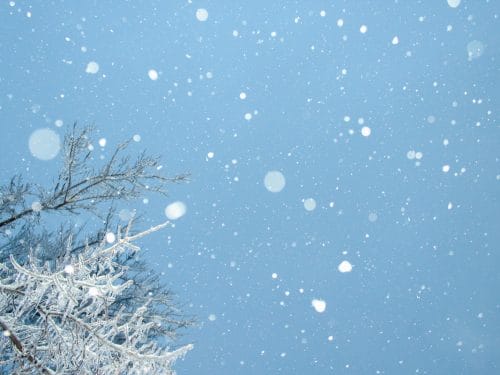 Holiday Snowfalls