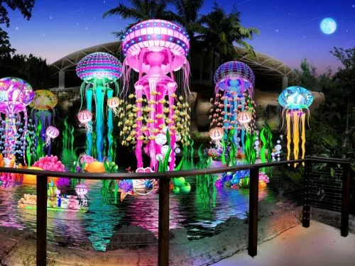 Jungle Island Luminosa deal