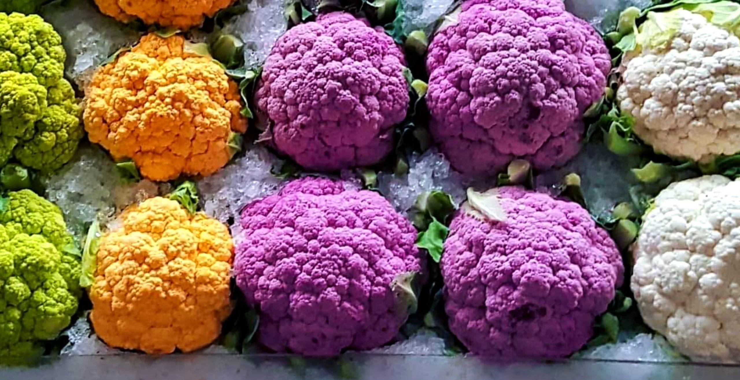 local farms