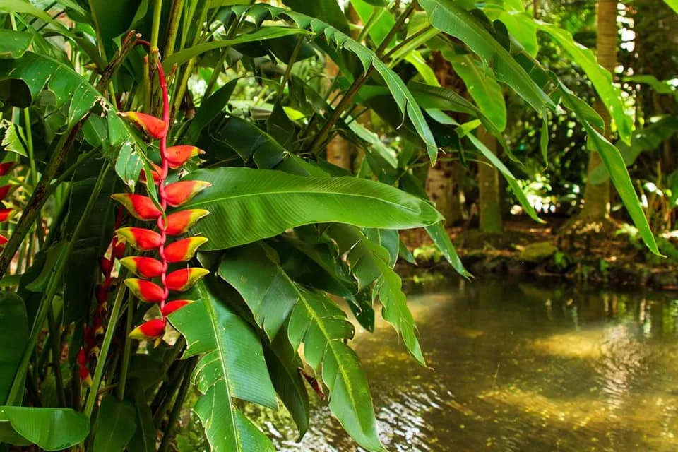Best gardens to visit in Miami