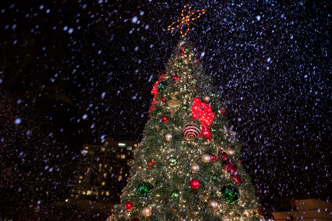 Tree lightings and free holiday events around Miami-Dade