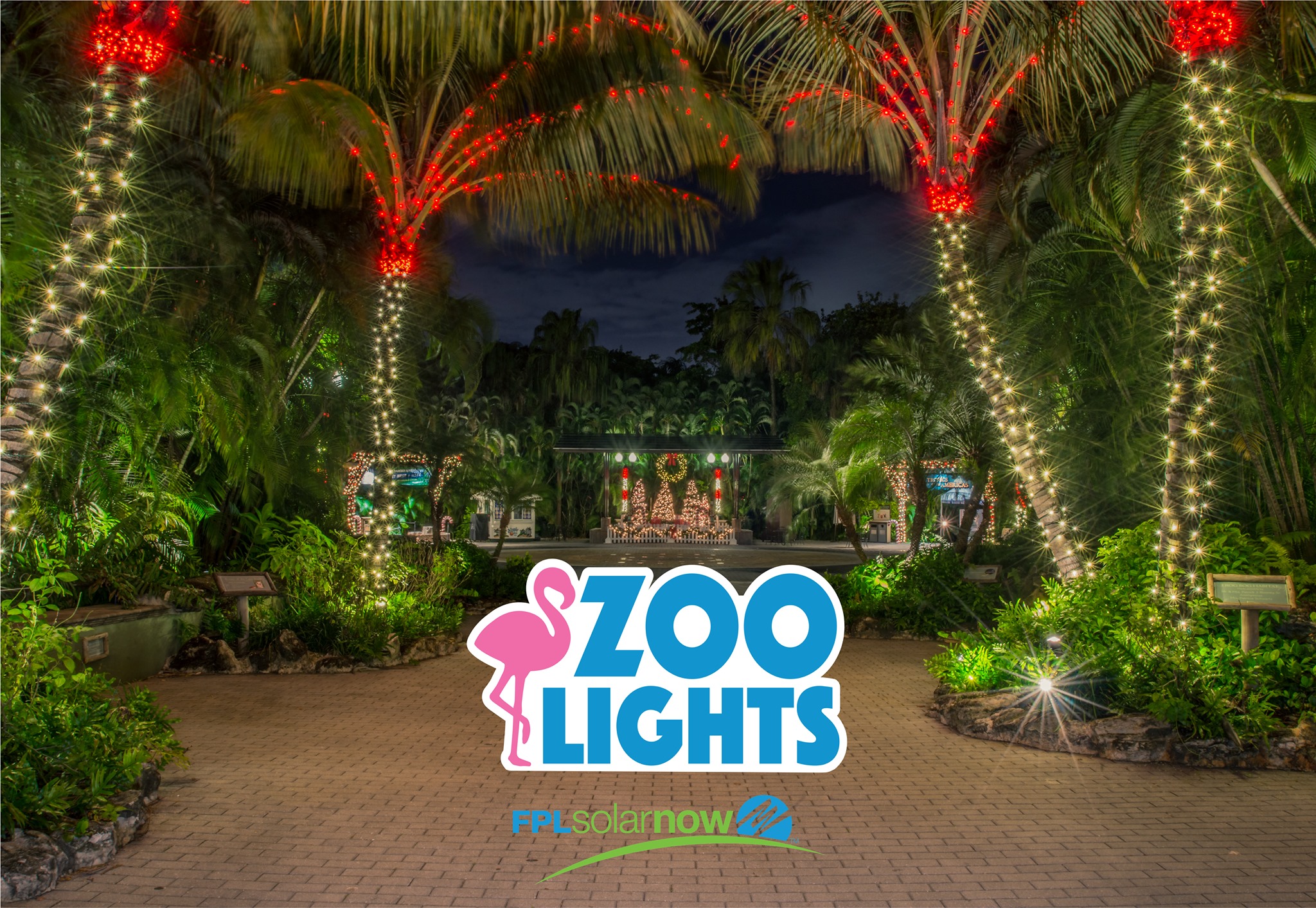 Zoo Lights twinkling at Palm Beach Zoo LaptrinhX / News