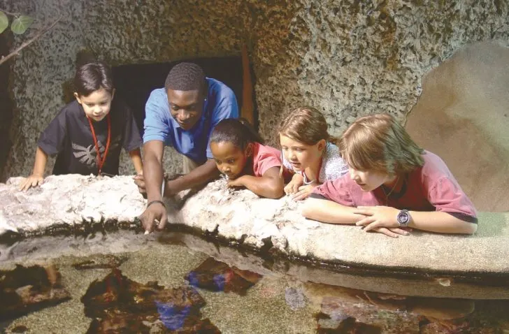 Summer Savings Pass  Cox Science Center and Aquarium