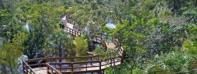 Daggerwing Nature Center Boardwalk