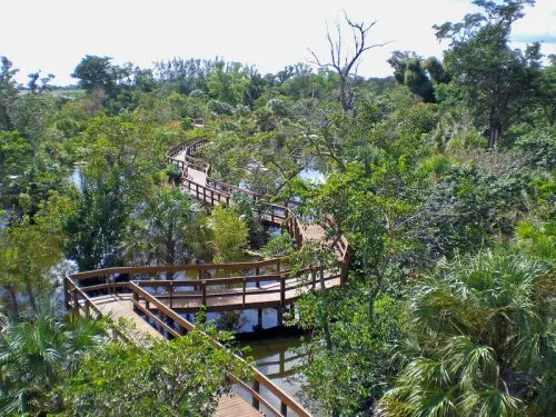 Daggerwing Nature Center Boardwalk