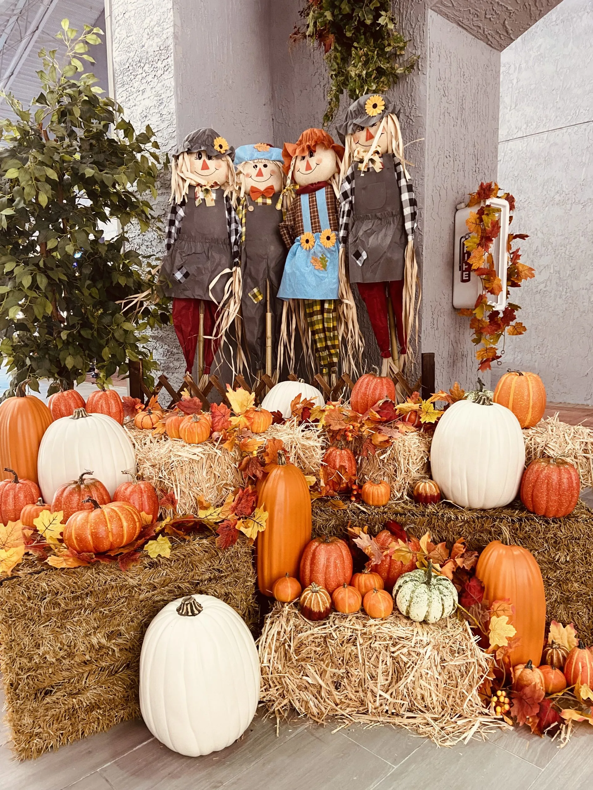 Best things to do in October in Miami-Dade