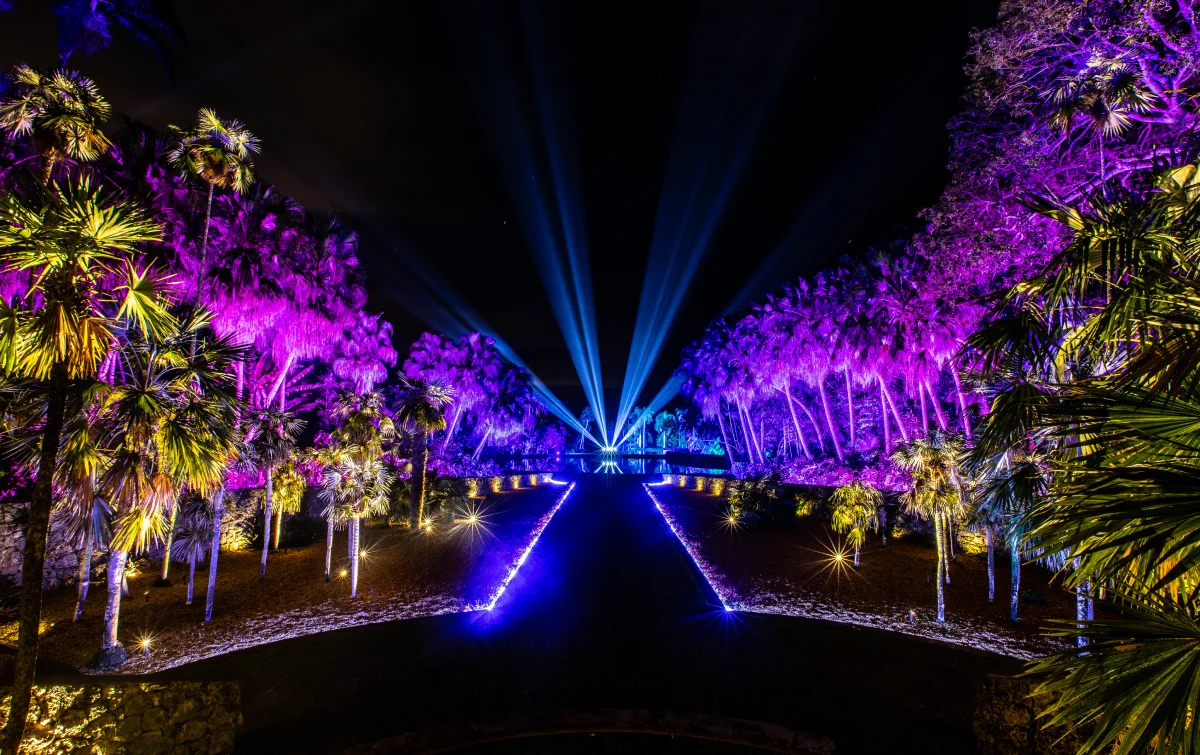 Fairchild's NightGarden & new discount, 25% off