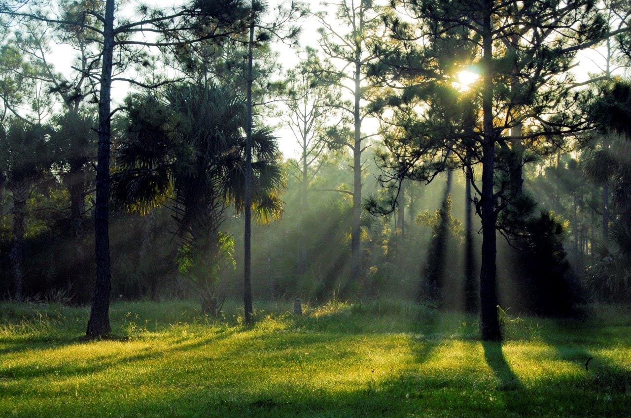 Guided nature walks, animal encounters and more at Riverbend Park, Jupiter