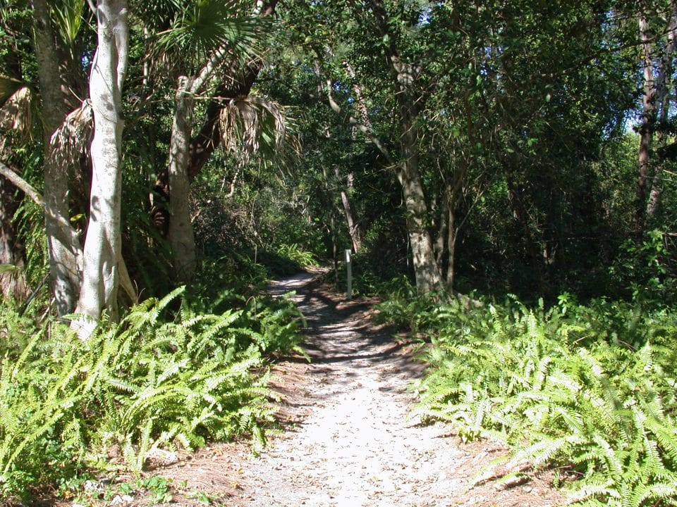 Deerfield Island not open until further notice Free water shuttles to