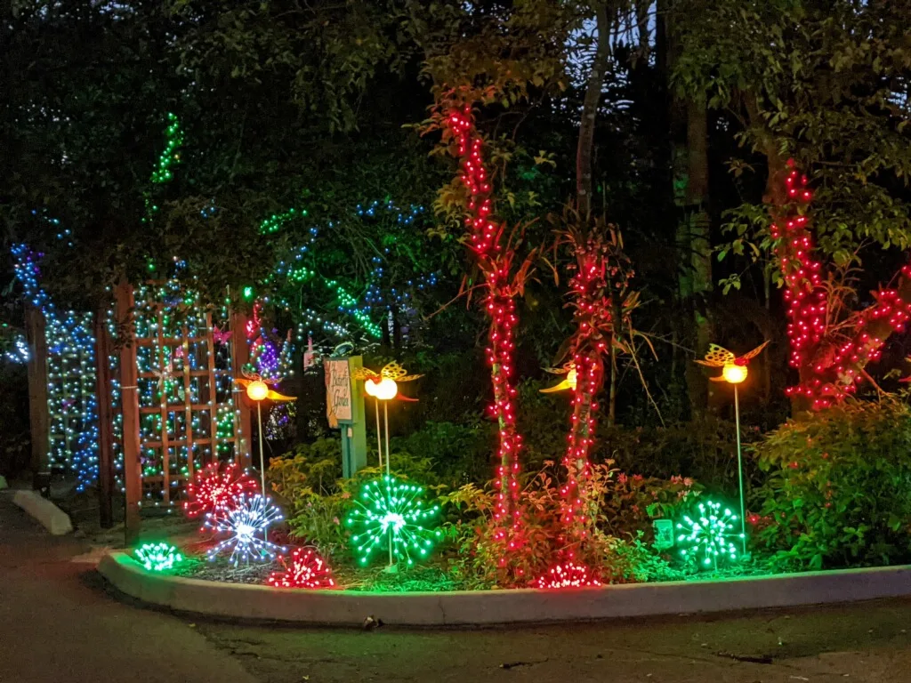 Flamingo Gardens offers glitzy holiday lights display & live entertainment