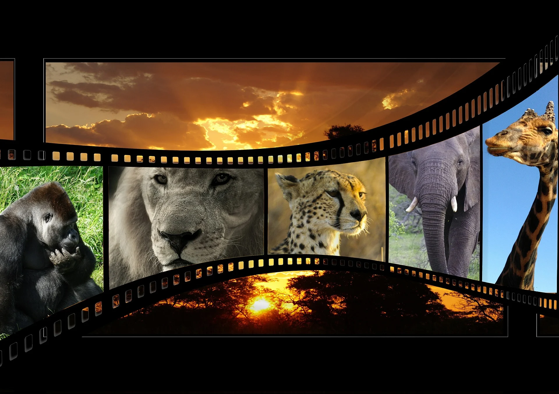 Regal Theatres: Discounted tickets on Tuesdays