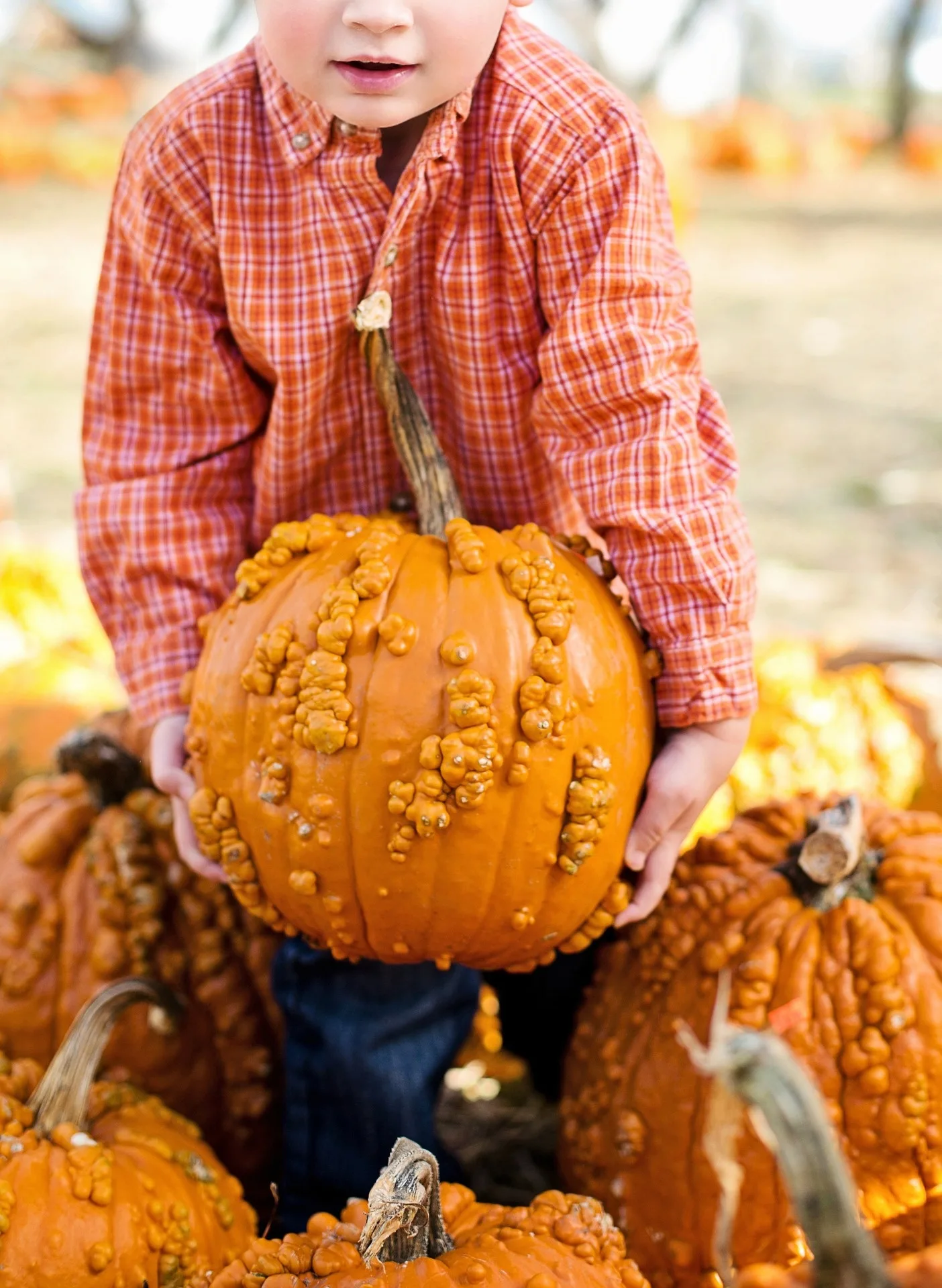 Pumpkin Spice Artisan Market at Miami Ironside