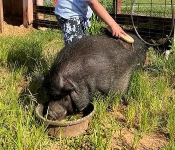 Educational Farm Tours at Tradewinds Park in North Broward for $3