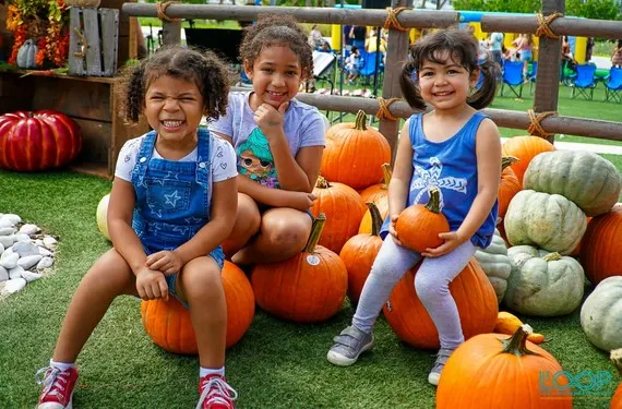 Pumpkin Patches Near Las Vegas: 7 Locations for Some Fall Fun