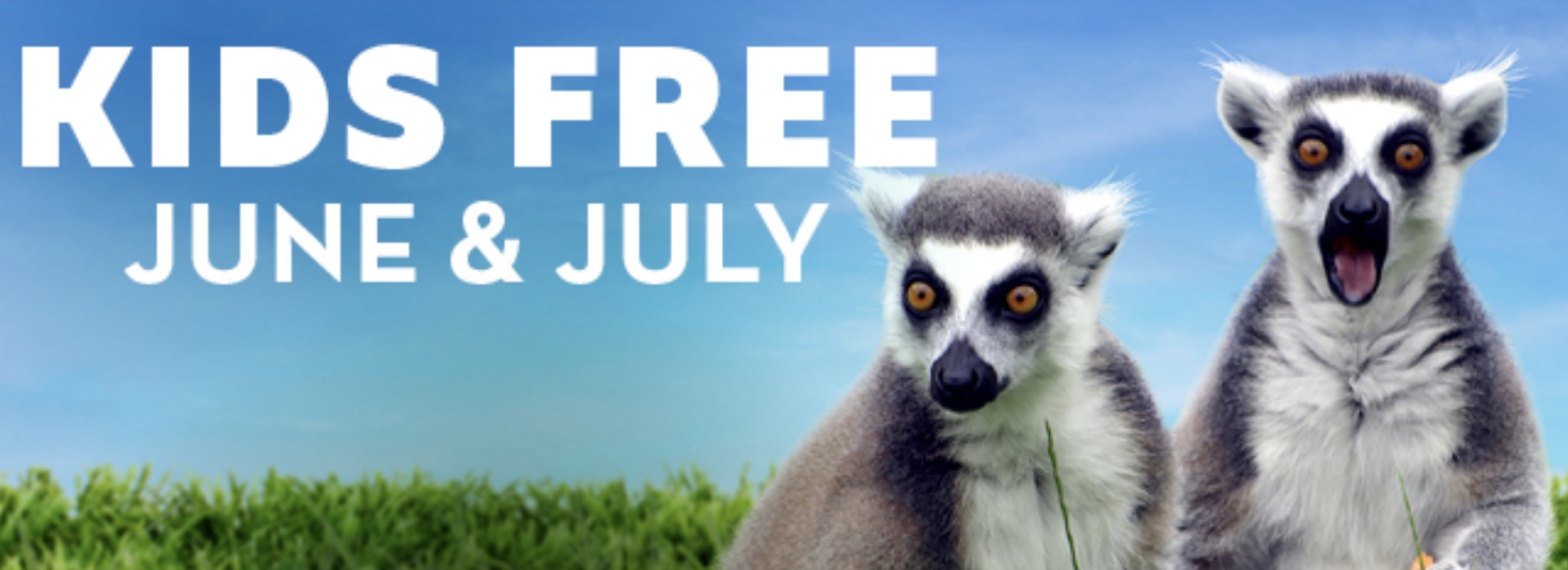 Free Palm Beach Zoo Admission For Kids In June July free-palm-beach-zoo-admission-for-kids-in-june-july