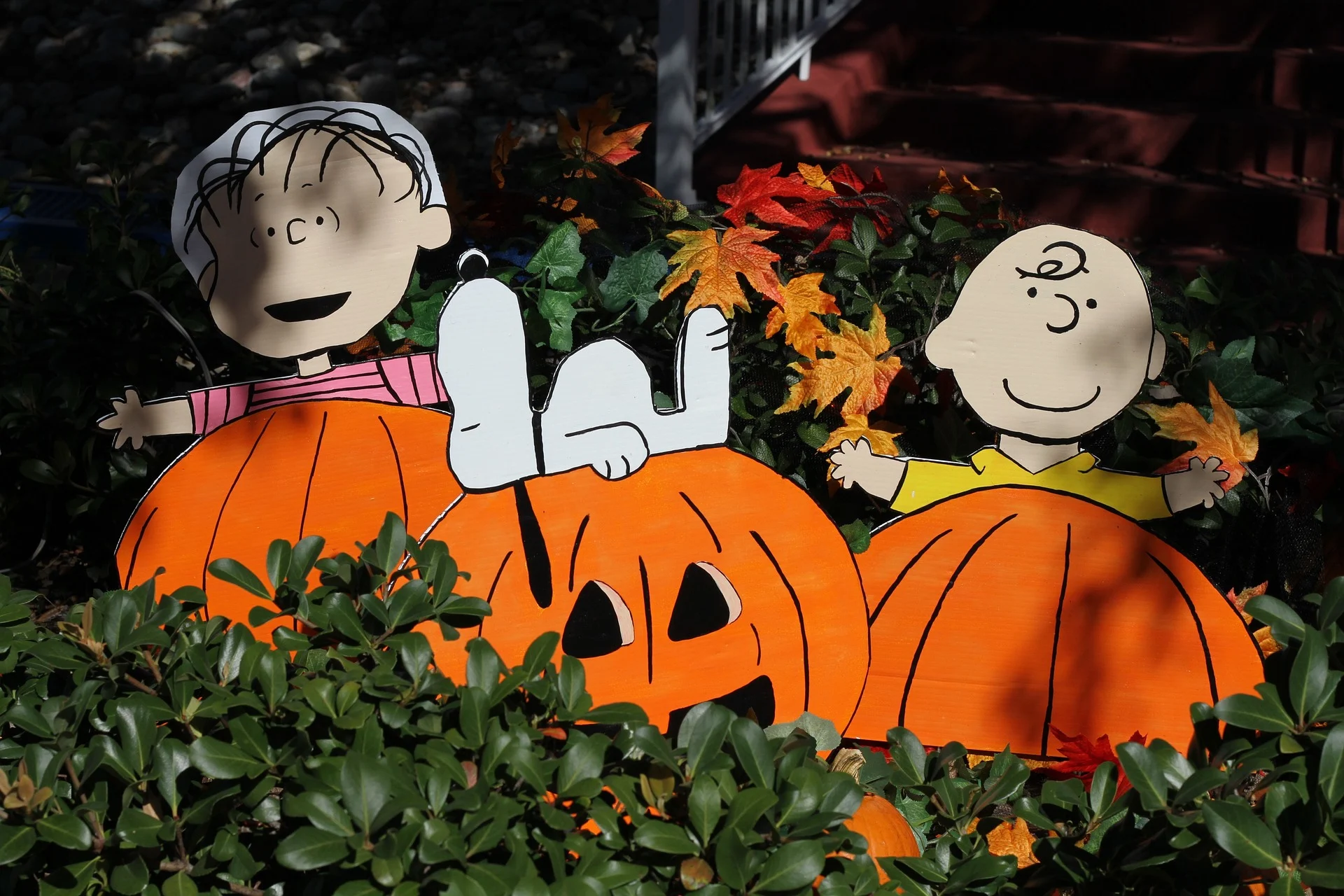 Pumpkin patches and fall festivals in Miami-Dade 2025