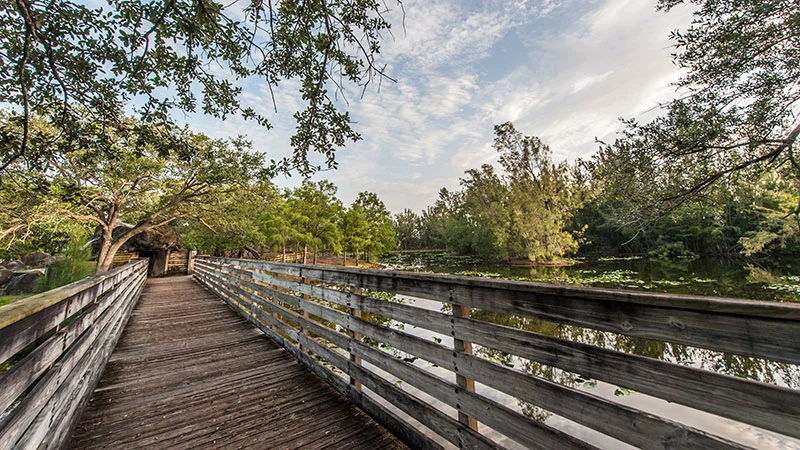 Get away from it all at these South Florida nature spots