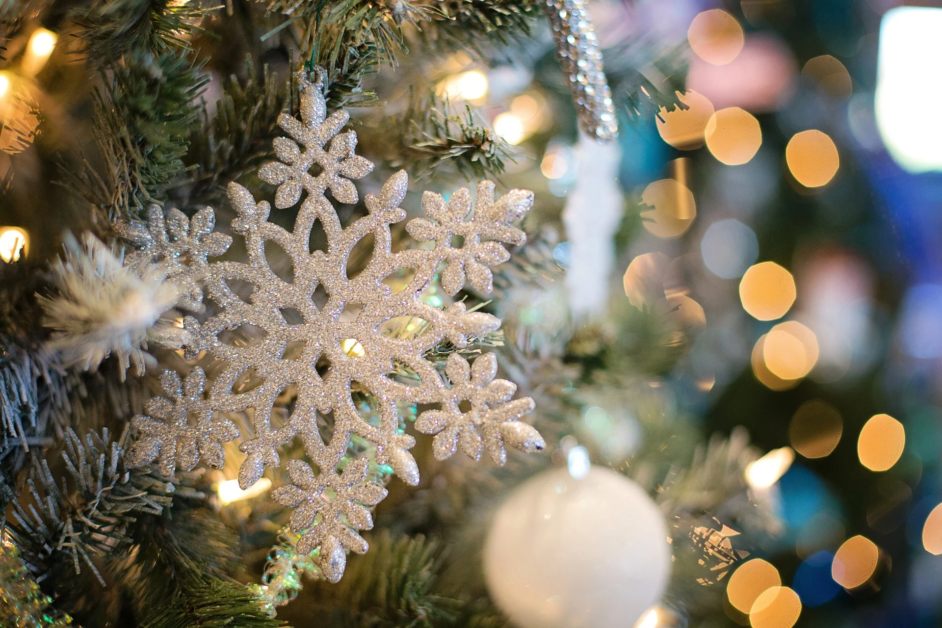 Winter Wonderland at North Miami's Griffing Park