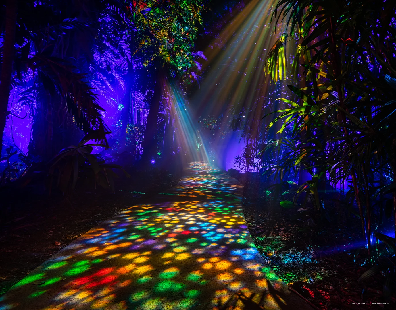 Where to see holiday lights in South Florida 2025
