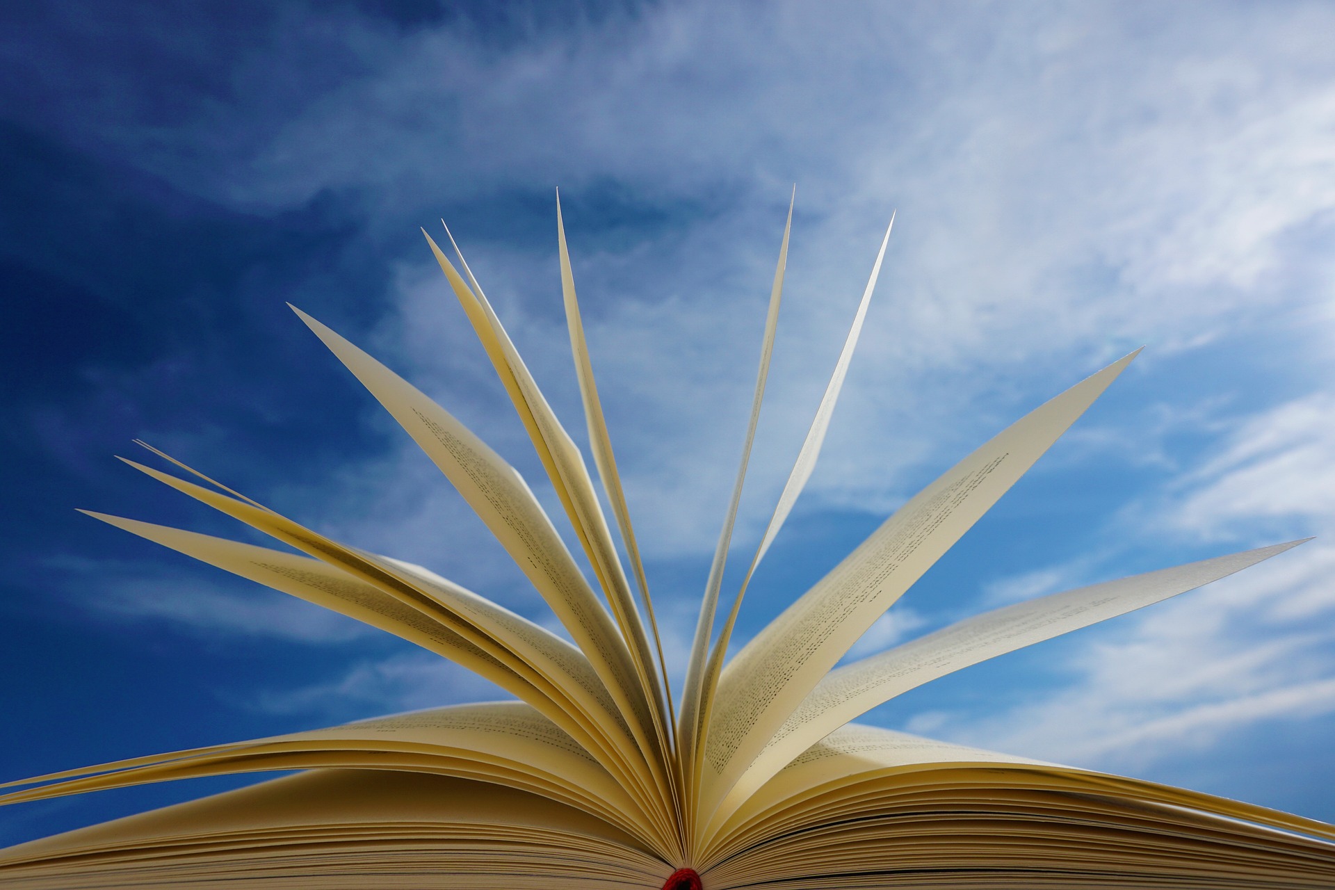 Free Tropic Bound Artists’ Book Fair in Miami