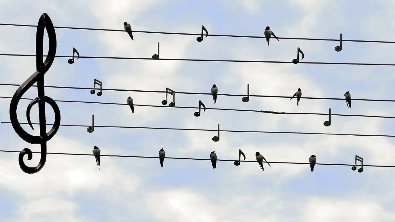 Free symphony performances in Pembroke Pines