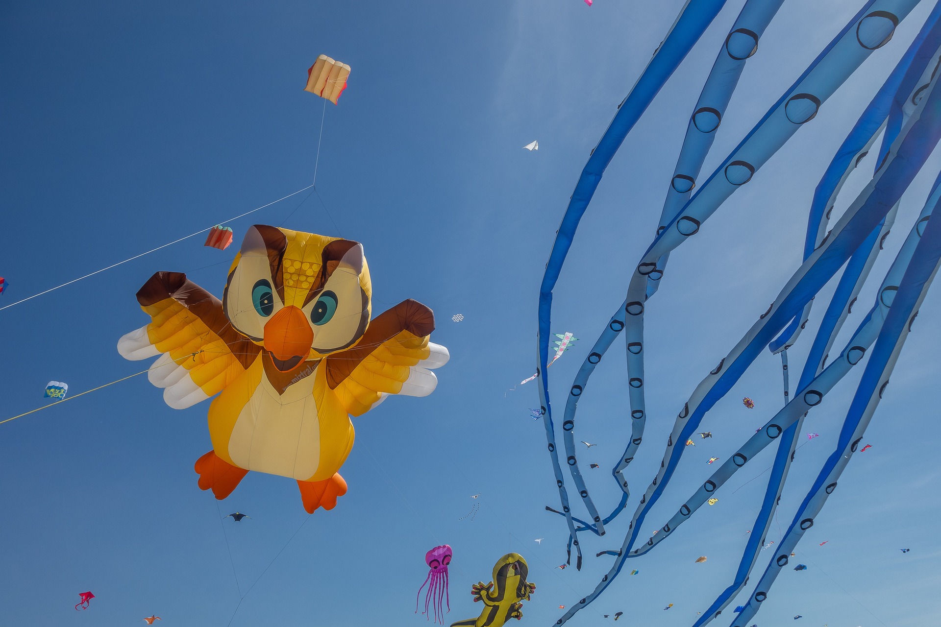 Free Kite Days Festival at Haulover Park