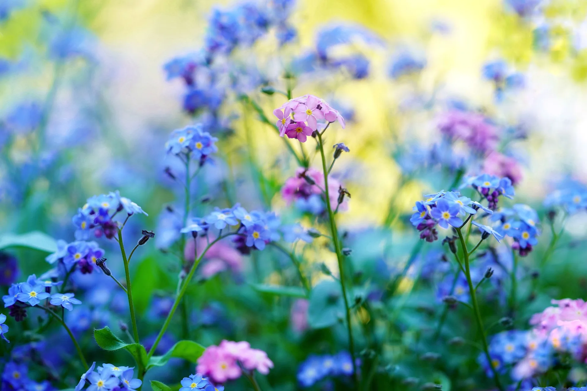 Summer Saturdays in the Gardens at Casa Ylang Ylang